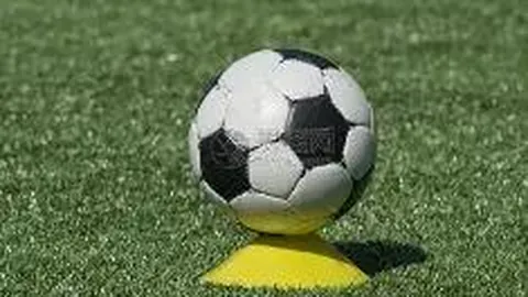 2025冬季博览会京城收官，多项记录刷新纪录